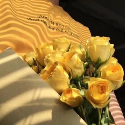 半岛平台官方网站入口